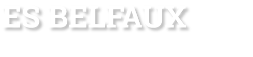 ES Belfaux Logo