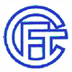 FC Turgi Logo