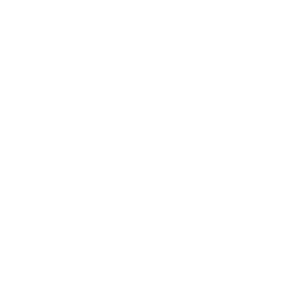 FF Brüglingen Basel Logo